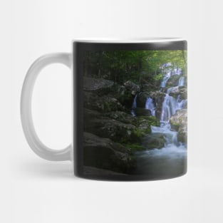 Dark Hollow Falls Mug